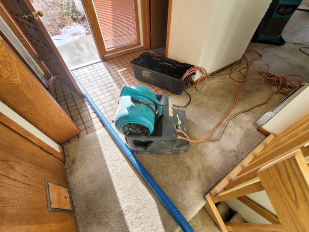 Best Water damage contractors near me  in Macedonia, OH